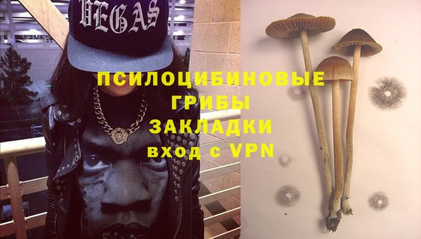 прущие крисы Новокубанск