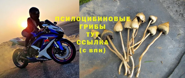 прущие крисы Новокубанск