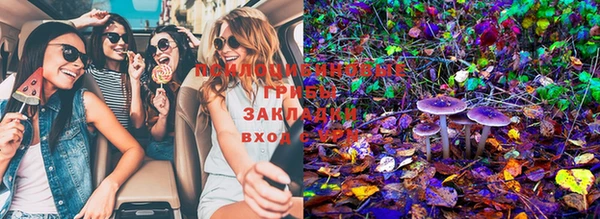 кристаллы Новодвинск