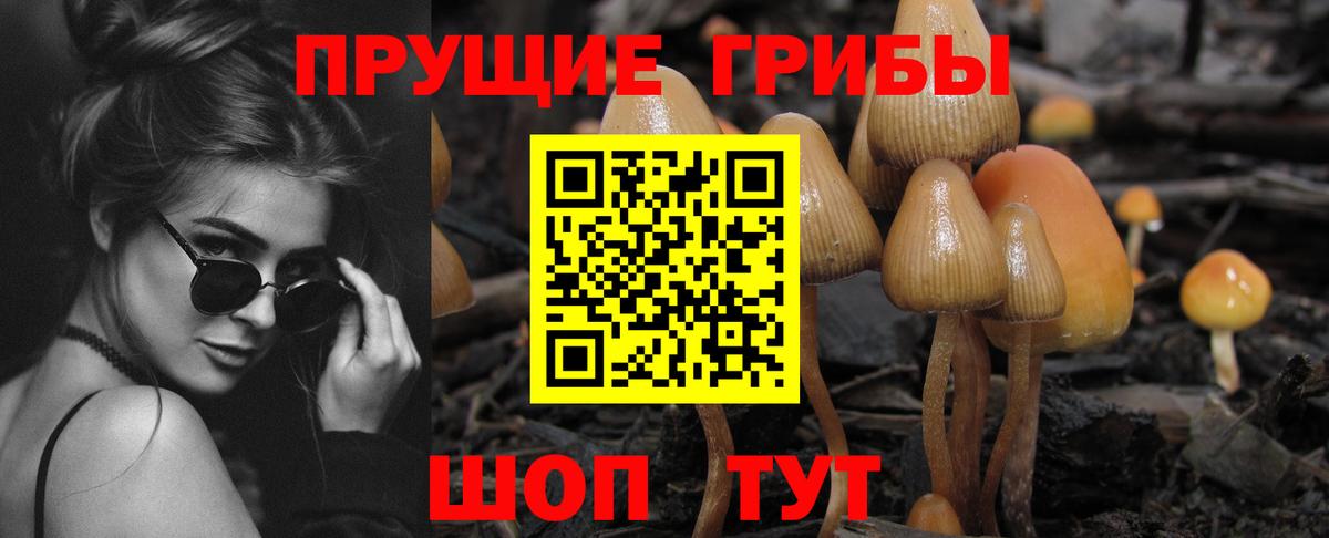 Светлоград  Псилоцибиновые грибы MAGIC MUSHROOMS  Вход с VPN  купить   Галлюциногенные грибы мухоморы 