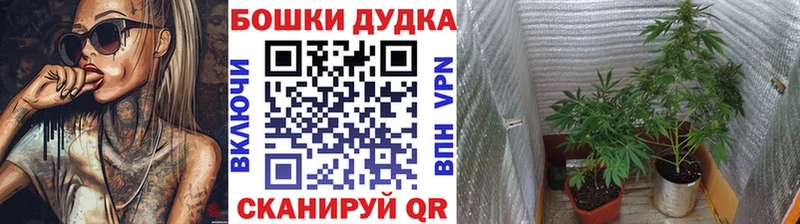 Бошки Шишки SATIVA & INDICA Светлоград